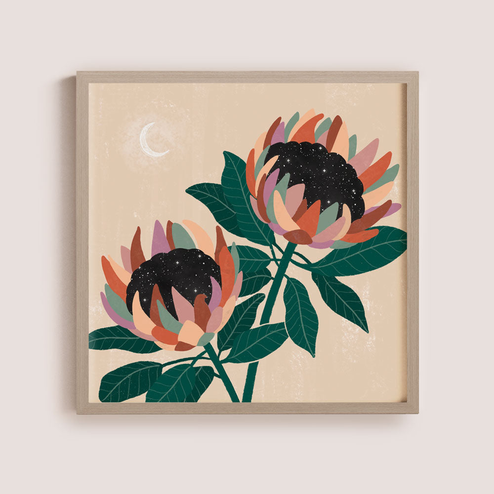 Protea Pair