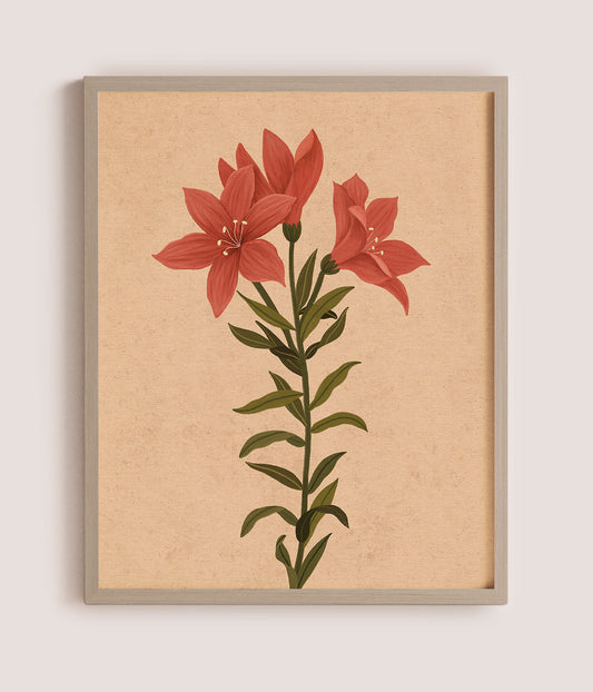 Nostalgic Lilies