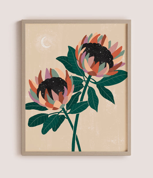 Protea Pair